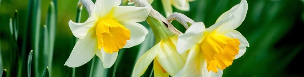 Wisconsin Poetry Blog